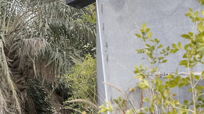 Cabin from the outside. Antonie Robertson / The National