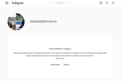 This image greeted Instagram users who were searching for content tagged #dubaidolphinarium on Tuesday.