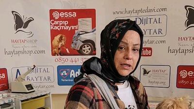 This dog's owners have no shelter themselves, so Haytap is taking care of it