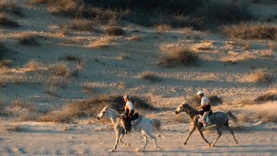 The sport is a natural extension of the UAE's ancient connection to endurance racing as a sport ... and a way of life