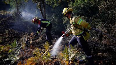 German firefighters work to contain a fire in Hostens, as wildfires continue to spread in the Gironde region of south-western France. Reuters