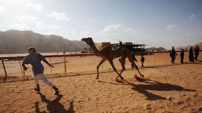 Jordanians race their camels in front of Sheikh Sultan bin Hamdan bin Zayed, President of the Arab Camel Racing Federation and with the presence of Prince Asem bin Nayef, vice president of the Jordan Royal Equestrian Federation, during the annual camel race in Wadi Rum, Jordan. Salah Malkawi / The National