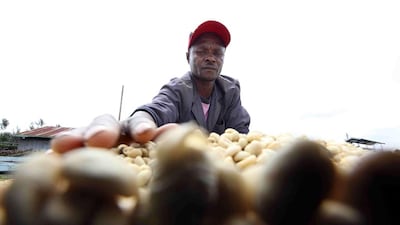 A worker spreads coffee beans to dry at a factory in Karatina. Kenyan beans from farms in the area and in neighbouring eastern provinces are sought after by global roasters who blend it with coffee from other nations. Noor Khamis / Reuters