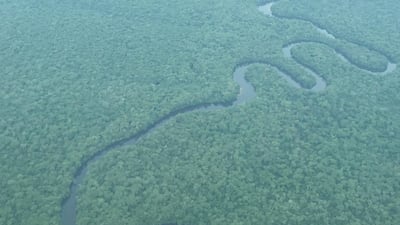 Salonga National Park is Africa's largest protected rainforest and home to 40 per cent of the Earth's bonobo apes, along with several other endangered species