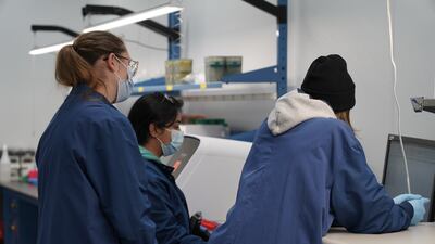 Scientists study the genomics sequencing of a Covid-19 test sample. Willy Lowry / The National