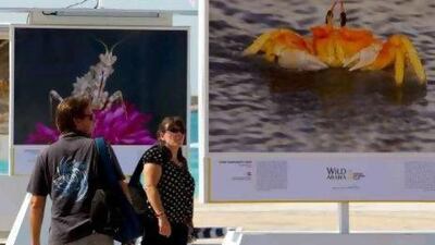 People take in the Wild Arabia National Geographic photographic exhibit at the east plaza along the Corniche.