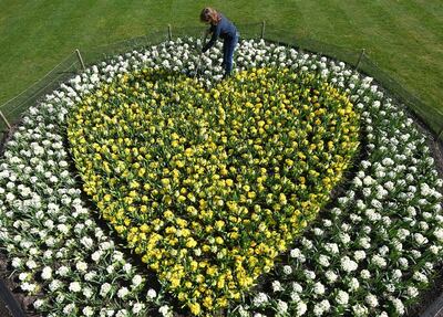 Kew horticulturalist Joanna Bates tends to a 'Yellow Hearts to Remember' floral tribute to remember those lost to Covid-19. Reuters