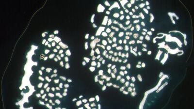 World Islands in Dubai from DubaiSat-1. Courtesy EIAST