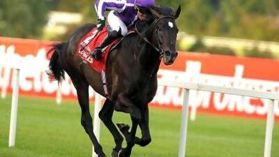 So You Think will have plenty of support on Dubai World Cup night later this month.