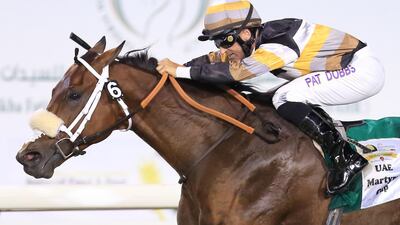 Shamaal Nibras has won 10 races and placed second or third 20 times in 61 career starts. Erika Rasmussen for The National