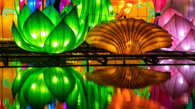 ... or take an 'underwater' shot with the fish