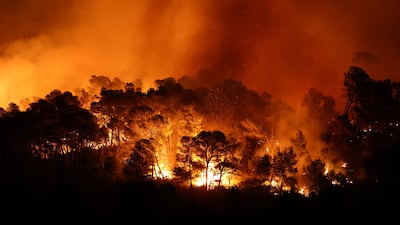 Trees ablaze as a wildfire rampages through a forest near Saint-Laurent-de-la-Cabrerisse, southern France. Reuters