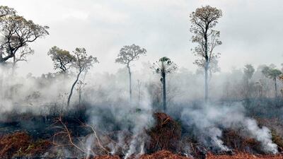 Smokes rises from forest fires in Otuquis National Park, in the Pantanal ecoregion of southeastern Bolivia, on August 26, 2019. Like his far right rival President Jair Bolsonaro in neigboring Brazil, Bolivia's leftist leader Evo Morales is facing mounting fury from environmental groups over voracious wildfires in his own country. While the Amazon blazes have attracted worldwide attention, the blazes in Bolivia have raged largely unchecked over the past month, devastating more than 9,500 square kilometers (3,600 square miles) of forest and grassland. / AFP / Aizar RALDES