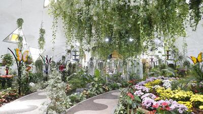 A colourful selection of the 26 species can be seen at the Dubai Butterfly Garden. Antonie Robertson / The National