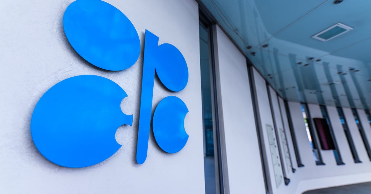 Opec's future in question as the UAE builds its own energy system
