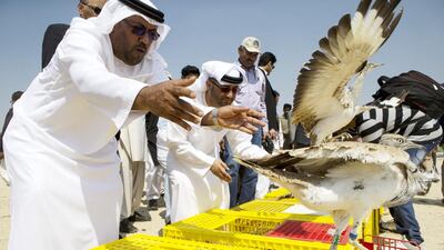 The 600 houbaras hatched at the National Avian Research Centre in Sweihan are released at the Lal Souhanra National Park in Pakistan in a joint programme between the two countries. It is hoped they will start breeding next year. Christopher Pike / The National