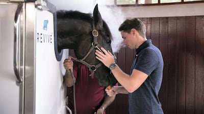 The first cryotherapy tank for racehorses to be used in the UAE is in a barn at the back of Zabeel Stables.Reem Mohammed / The National
