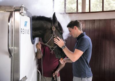 Luka Jurkovic, general manager of Revive, the company that developed the specialised cryotherapy chamber for horses. Reem Mohammed / The National