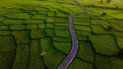 A road winds through paddy fields in Montasik, in Indonesia's Aceh province. AFP