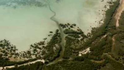 The Coastal Resource Atlas includes maps of ecologically sensitive areas and habitats of endangered marine species.