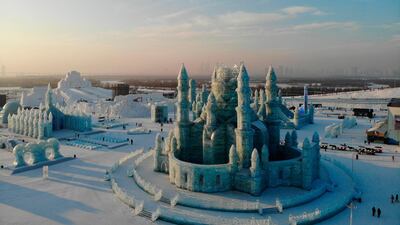 A view of some of the ice sculptures. AFP
