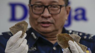 Pangolin scales, such as these held by Paddy Abdul Halim from the customs department in Kuala Lumpur, are used in traditional Chinese and African medicine despite their being no evidence of their efficacy. Fazry Ismail / EPA