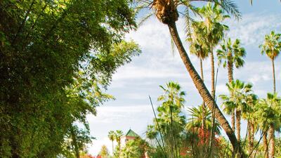 Contessa Giuppi Pietromarchi’s garden in Rabat. Courtesy Giulio Pietromarchi