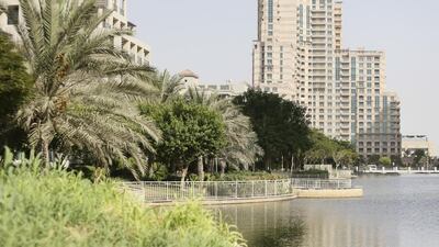 Sarah Dea / The National