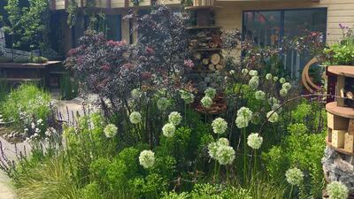 Nigel Dunnett - RHS Greening Grey Britain - insect friendly, low maintenance and edible planting with community and private gardening spaces. Courtesy RHS Chelsea Flower Show