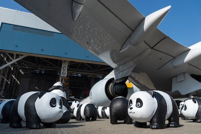 About 2,500 panda sculptures are displayed at the Hong Kong International Airport. AP Photo