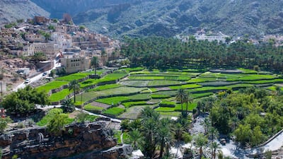 Green irrigated terraces in Bilad Sayt, Oman, in the Al Hajar Mountains. Corbis via Getty Images