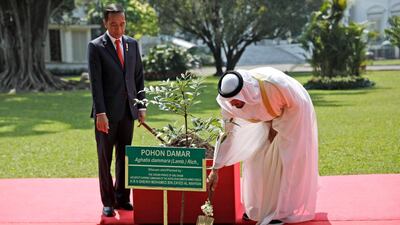 Sheikh Mohamed pours soil as Mr Widodo looks on during a tree-planting ceremony. Willy Kurniawan / Pool Photo via AP