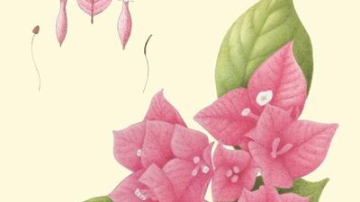 Pauline Goldsmith for The National