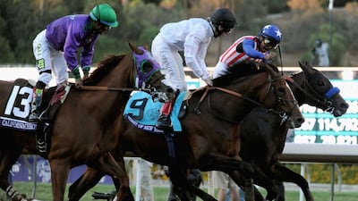 Jockey Martin Garcia atop Bayern, far, celebrates ahead of jockey Victor Espinoza atop California Chrome, near, and jockey Jamie Spencer atop Toast of New York, centre, as he takes the 2014 Breeders' Cup Classic at Santa Anita on Saturday in California. Harry How / Getty Images / AFP / November 1, 2014