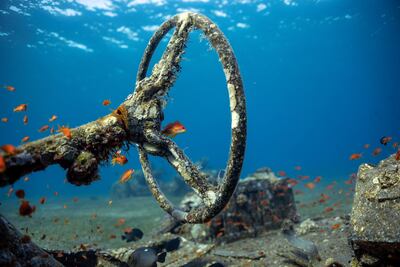 The remains of a military vehicle at the Underwater Military Museum in Aqaba. Reuters