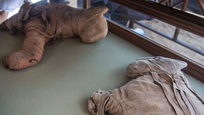 According to the Egyptian Ministry of Antiquities, archaeologists found the remains of lion cubs, as well as one large animal that is believed to be a lion or lioness. EPA