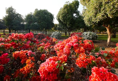 The park has play areas galore and a small animal enclosure. Jeffrey E Biteng / The National