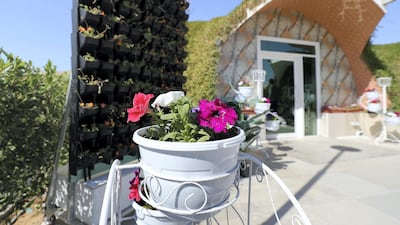 Energy saving residences known as 'green magic homes' at the research site at Sharjah Research Technology and Innovation Park. All photos Chris Whiteoak / The National