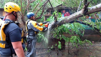 Search and rescue crew members clears a fallen tree in Fajardo, Puerto Rico. Ricardo Ardyengo / AFP Photo