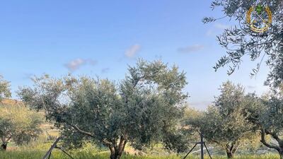 Missile launchers and a number of rockets intended for launch. Photo: Lebanese Army
