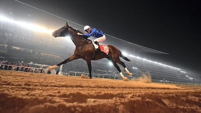 Dubai World Cup. AFP