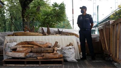 Customs officers said the haul had an estimated value of 80 million Malaysian ringgit ($18m). Reuters