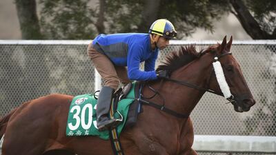 Joao Morieira riding Able Friend from Hong Kong during a track session at Sha Tin Racecouse on December 10, 2015 in Hong Kong. Vince Caligiuri / Getty Images