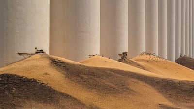 'The Desert' from Dia Mrad's photo series, which was on show at the Arthaus Beirut hotel. Courtesy of the artist