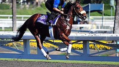 Buzzword, the three-year-old colt, finished fourth at Longchamp, impressing the Godolphin training staff.