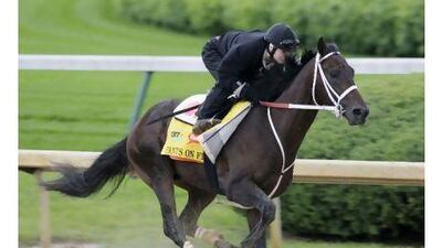 Rosie Napravnik will be on board Pants On Fire for the Kentucky Derby. The highest a female jockey has ever finished is 11th in the Derby.