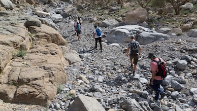 Leopard Canyon in Ras Al Khaimah is a popular hiking spot. PJ van Schalkwyk for The National