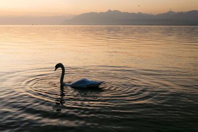Lake Geneva at sunrise in Rolle, western Switzerland. Some pro-Brexit politicians in the UK have pointed to Switzerland as an example of how a country can thrive outside the EU. Fabrice Coffrini / AFP
