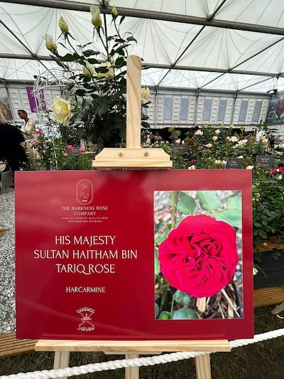 The Oman Rose or 'Harcarmine', named after Sultan Haitham, at the Chelsea Flower Show in 2023. Oman News Agency
