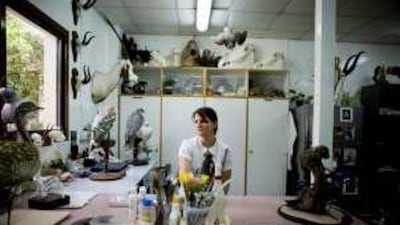 Corina Berners, a taxidermist at the Central Veterinary Research Laboratory, says most work is on falcons. The centre also preserves bigger animals.